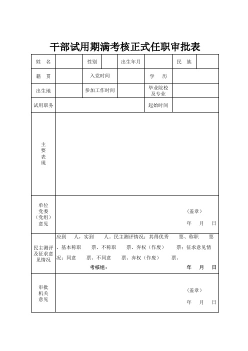 干部试用期满考核正式任职审批表