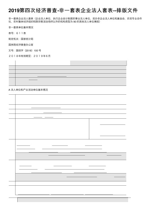 2019第四次经济普查-非一套表企业法人套表--排版文件