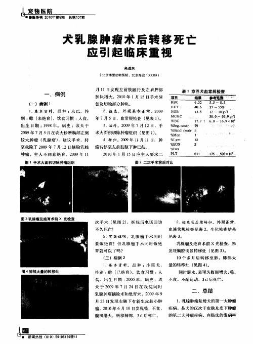 犬乳腺肿瘤术后转移死亡应引起临床重视