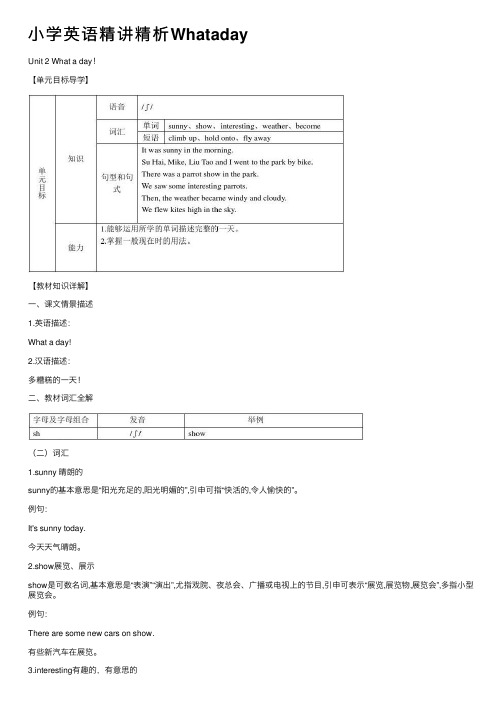 小学英语精讲精析Whataday