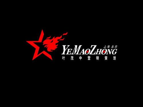 【企业诊断】营销大师--叶茂中大红鹰营销诊断完稿ok