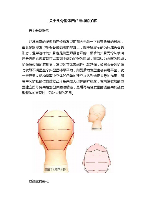 关于头骨型体凹凸结构的了解