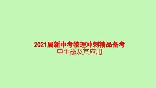 2021届新中考物理冲刺精品备考 电生磁及其应用