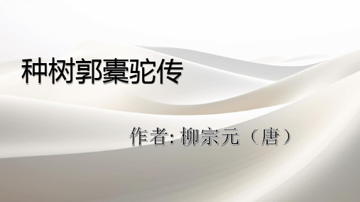 11《种树郭橐驼传》课件(共28张PPT) 2023-2024学年统编版高中语文选择性必修下册