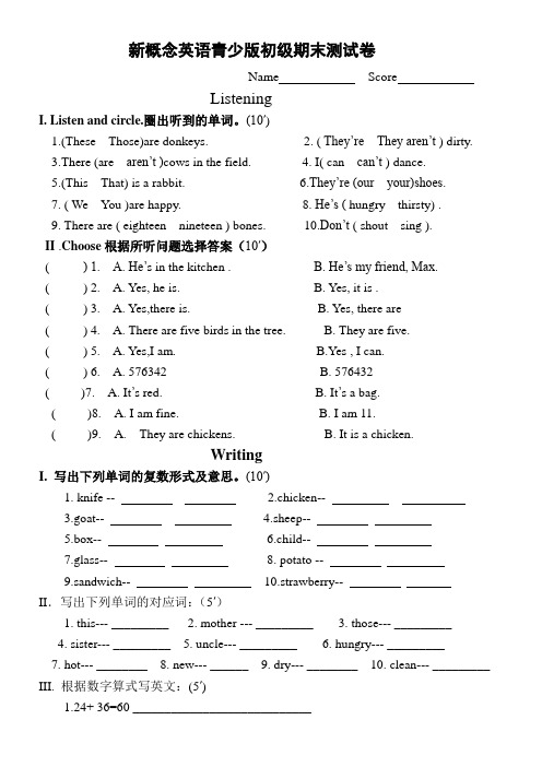 新概念英语青少版入门级B-期末测试卷