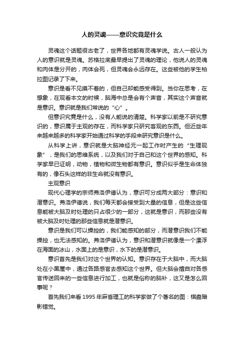 人的灵魂——意识究竟是什么