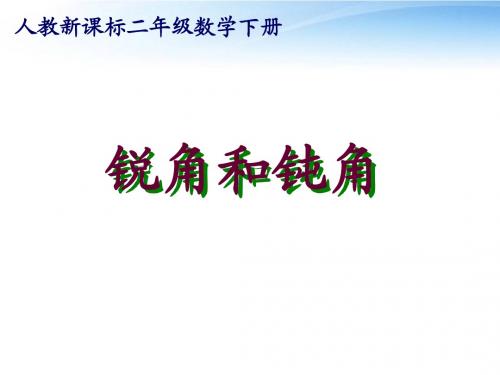 二年级数学下册 锐角和钝角课件10 人教新课标版