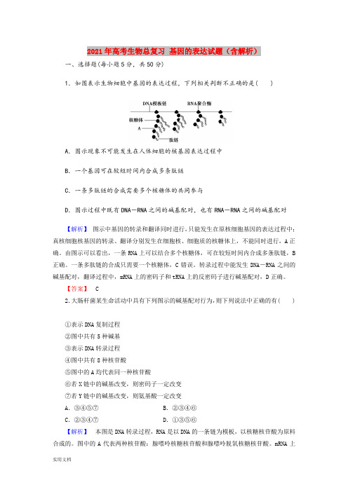 2021-2022年高考生物总复习 基因的表达试题(含解析)