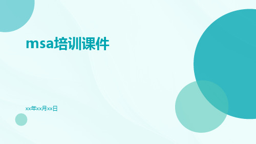 MSA培训课件