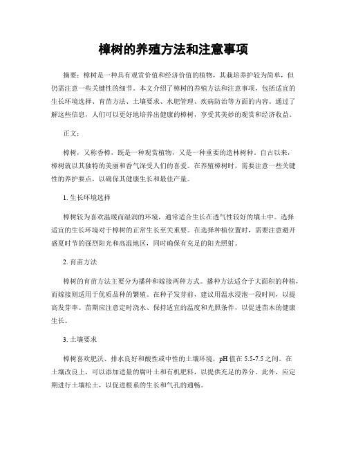 樟树的养殖方法和注意事项