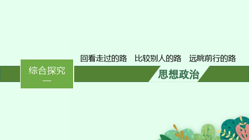 2024-2025学年高中政治必修一同步课件 综合探究一 回看走过的路 比较别人的路 远眺前行的路