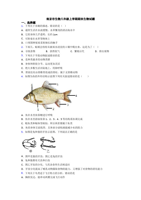 南京市生物八年级上学期期末生物试题