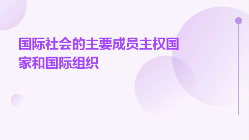 国际社会的主要成员主权国家和国际组织