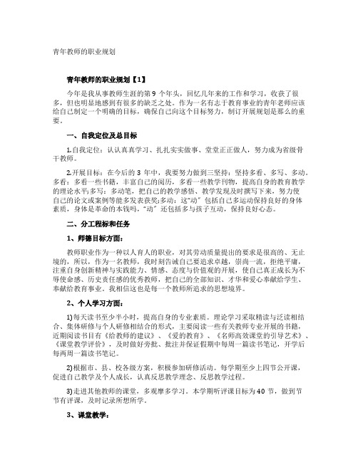 青年教师的职业规划