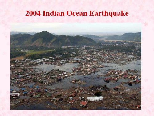 2004 Indian Ocean Earthquake (印度洋大海啸)