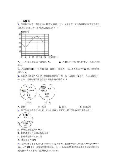 (常考题)人教版初中数学七年级数学下册第六单元《数据的收集、整理与描述》测试卷(含答案解析)(4)