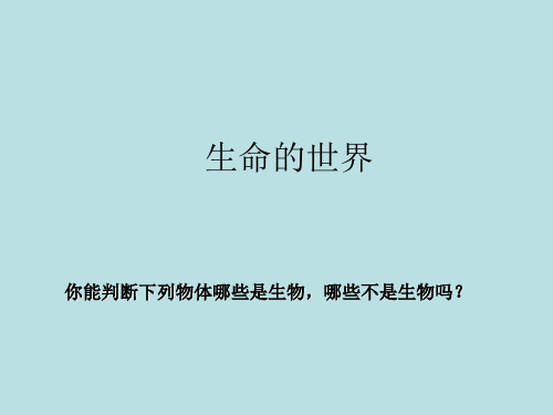 初中七年级生物上册-《生命的世界》课件