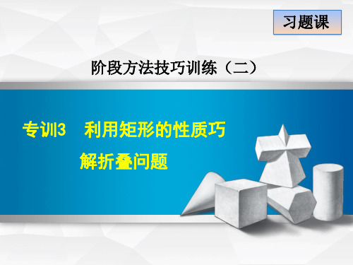 专训利用矩形的性质巧解折叠问题