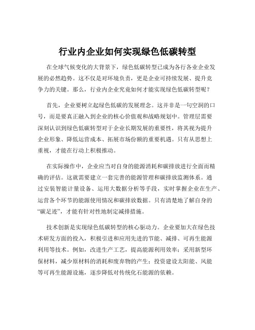 行业内企业如何实现绿色低碳转型