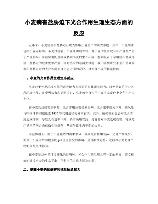 小麦病害盐胁迫下光合作用生理生态方面的反应