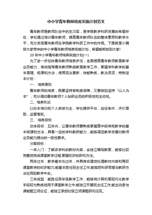 中小学青年教师培养实施计划范文