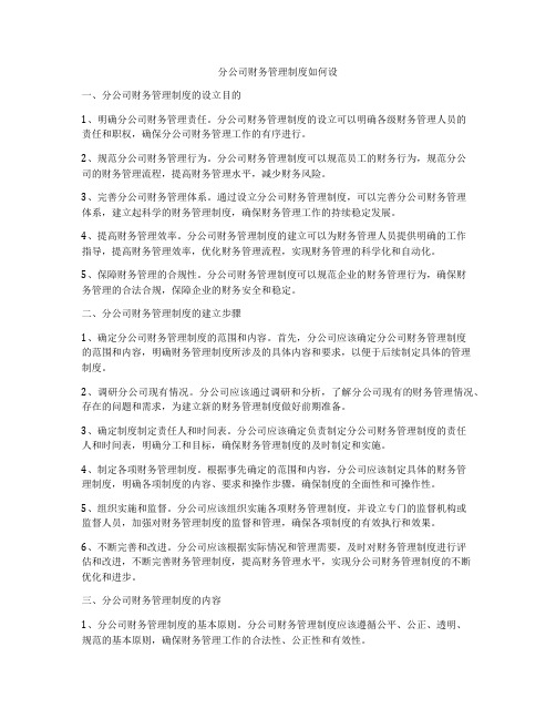 分公司财务管理制度如何设