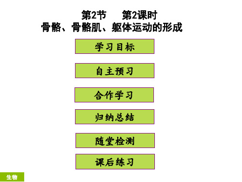 部编人教版八年级生物下册第15章《骨骼、骨骼肌、躯体运动的形成)》精品ppt课件