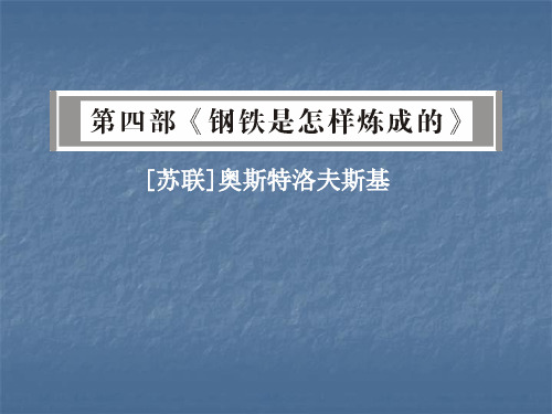 2018年广东省中考语文名著阅读小说《钢铁是怎样炼成的》内容人物解读及训练讲解