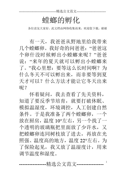 螳螂的孵化