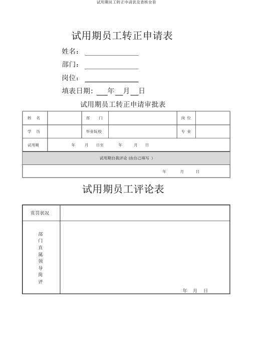 试用期员工转正申请表及考核全套