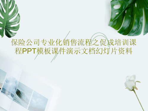 保险公司专业化销售流程之促成培训课程PPT模板课件演示文档幻灯片资料共20页