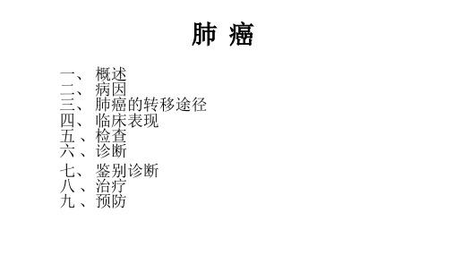 肺癌PPT课件