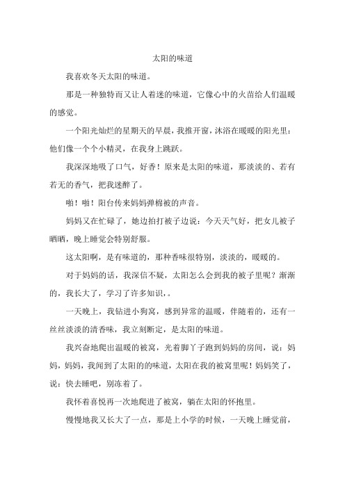 太阳的味道-作文