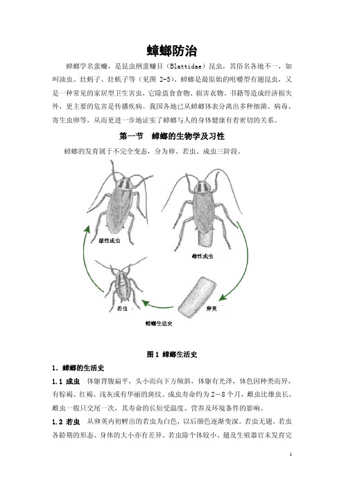 蟑螂习性防治