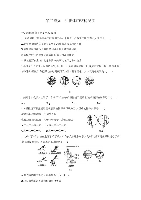 第二单元生物体的结构层次单元测试题 2021——2022学年人教版七年级生物上册(解析版)