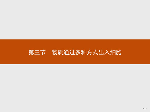 浙教版高中生物必修1 第三章 第三节 物质通过多种方式出入细胞