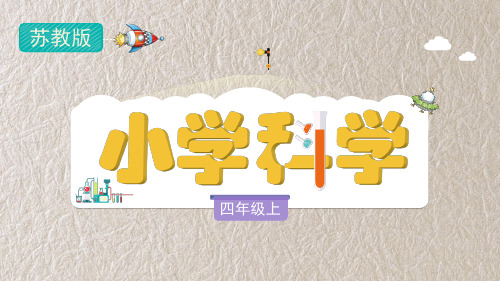 苏教版四年级上册科学 《电路暗箱》