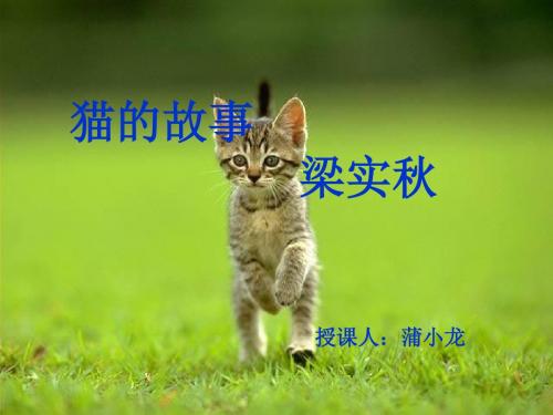 猫的故事ppt13 北师大版