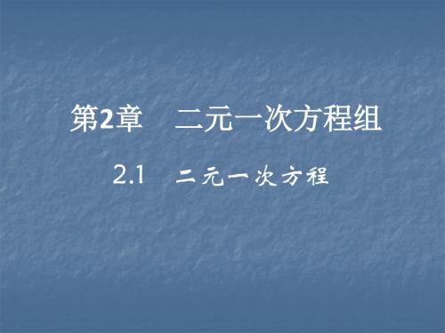 2018-2019学年浙教版七年级数学下册作业课件：2.1 二元一次方程(共19张PPT)