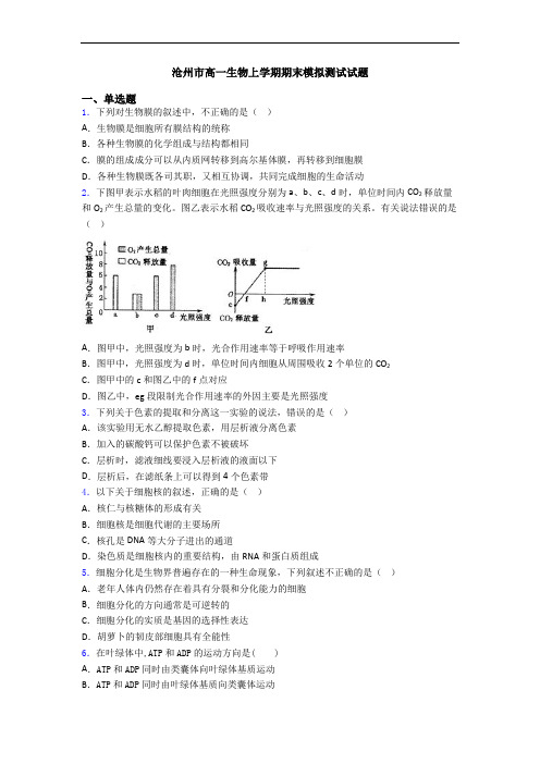 沧州市高一生物上学期期末模拟测试试题