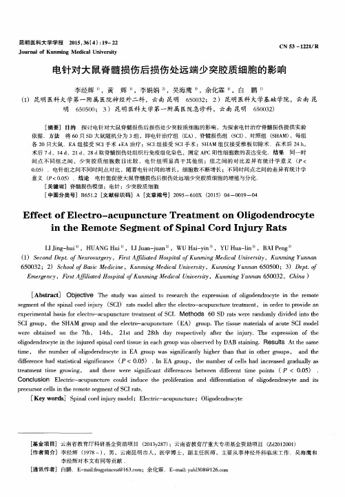 电针对大鼠脊髓损伤后损伤处远端少突胶质细胞的影响