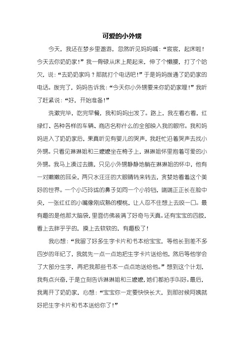 三年级作文:可爱的小外甥作文600字