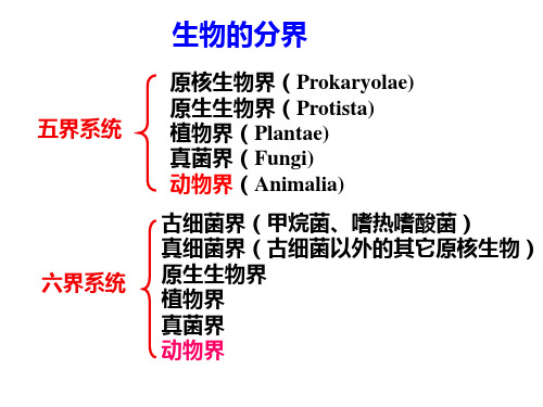 动物学 绪论