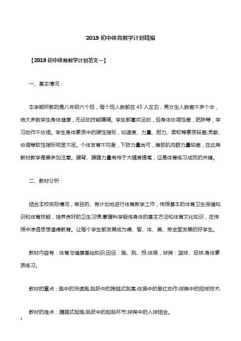 2019初中体育教学计划精编