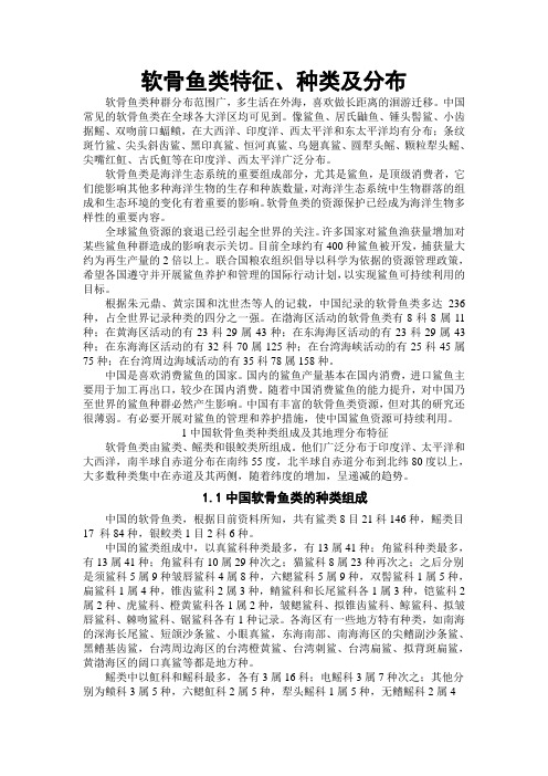 软骨鱼类特征