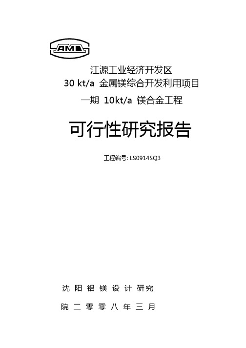 3万吨金属镁综合利用开发项目可行性研究报告