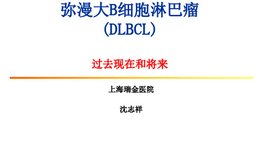 弥漫大B细胞淋巴瘤(DLBCL)过去现在和将来——瑞金医院血液科沈志祥ppt课件