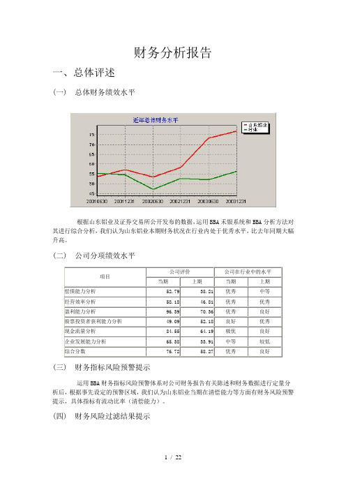 财务报表分析模版doc