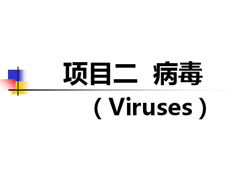 微生物学：病毒ppt课件