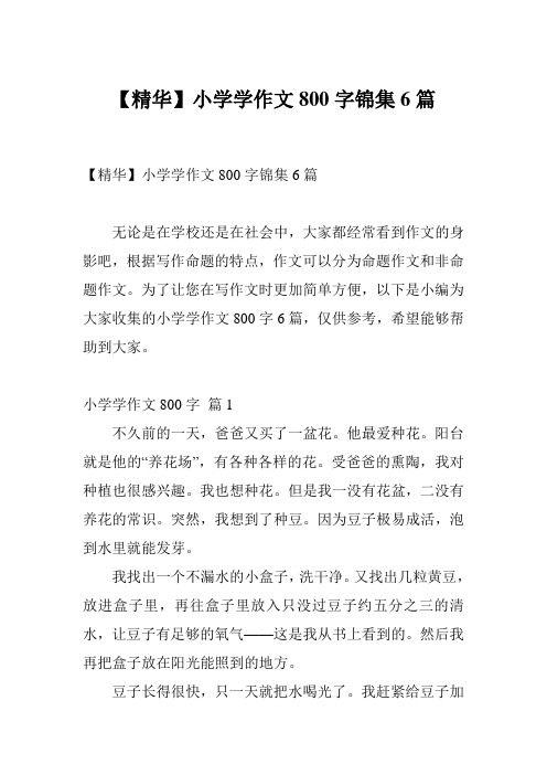 【精华】小学学作文800字锦集6篇